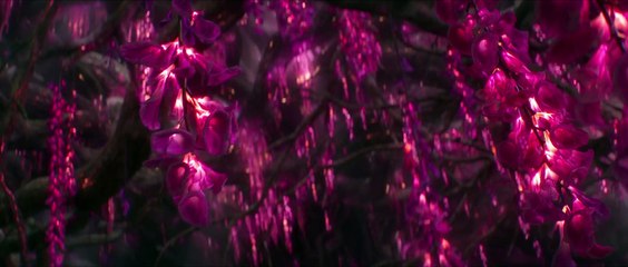 jungle cruise annunciato da disney