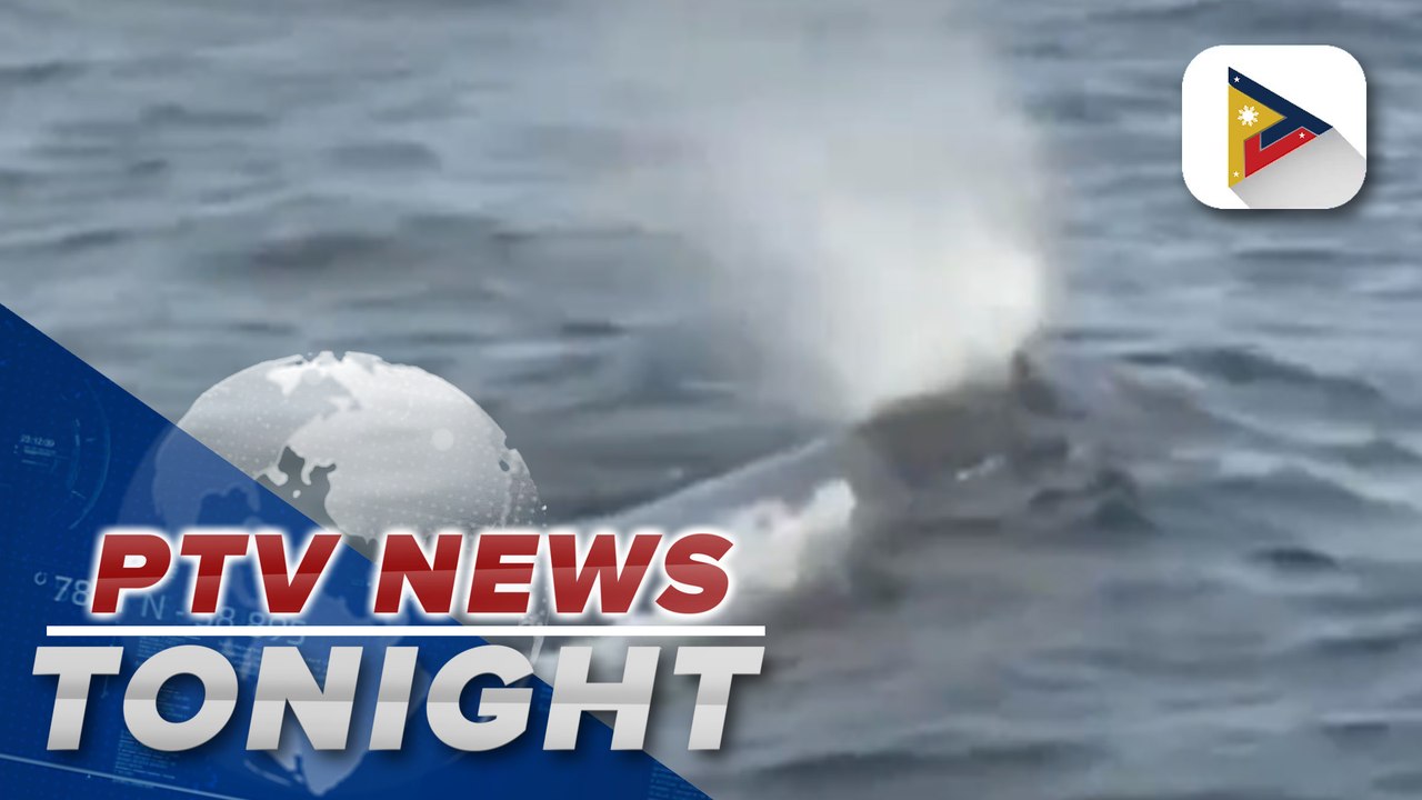 Number of North Atlantic right whales shrinking