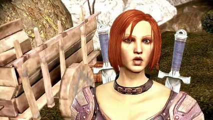 Dragon Age Origins