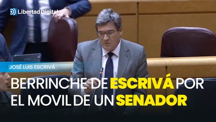 Berrinche de Escrivá por la conversación de un senador del PP con el móvil