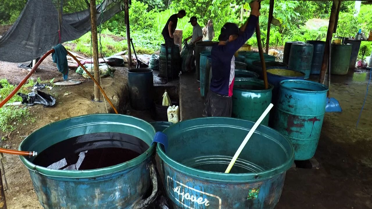 Colombia's cocaine canyon: the guerrilla turf impeding peace