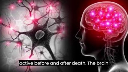 What happens inside our brain in last 30 seconds before death?