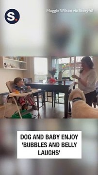 Dog and Baby Enjoy 'Bubbles and Belly Laughs'