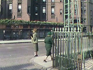 Doctor in the House 1954 ‧ Comedy/Drama