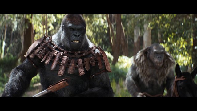 LA PLANÈTE DES SINGES 4 : Nouveau Royaume La Chasse aux Humains Bande Annonce (2024)