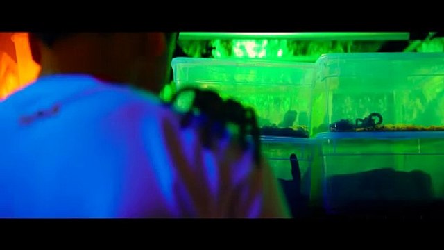 ROQYA Bande Annonce (2024) Jérémy Ferrari, Golshifteh Farahani