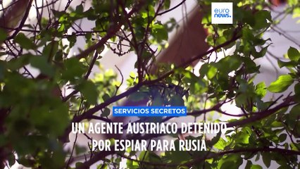 Austria detiene a un agente de información interior por espiar para Rusia