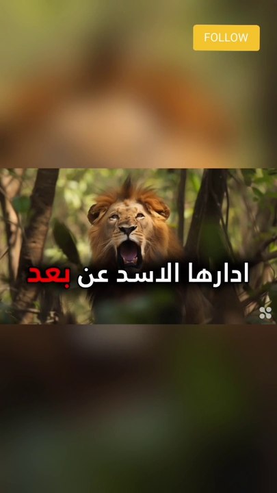 قصة الاسد و الثعالب