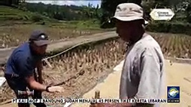 - Majalengka Mendekati Krisis Beras REALITAS_v144P