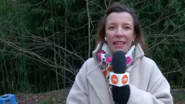 Voici - Julie Poirier : la chroniqueuse de Télématin, belle-fille de Gérard Holtz, est enceinte