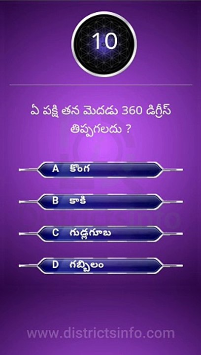 Interesting Questions Telugu