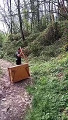 Vigan?, Bambi in trappola: lo salvano e liberano gli agenti della Provinciale