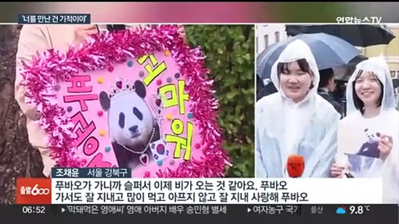 "영원히 기억할게"…푸바오 중국 가는 날 '눈물바다'