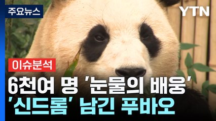[YTN24] 빗속 눈물의 배웅...중국 간 푸바오가 남긴 것들 / YTN