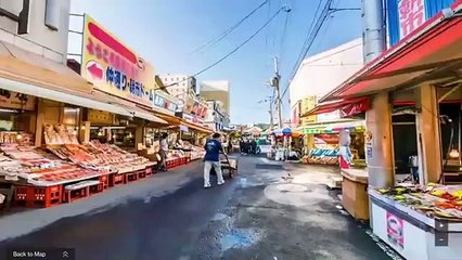 Destiny - Planet View