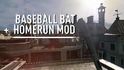 Baseball Bat + Home Run Mod
