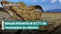 Sequía impacta 83.7% de municipios en México, ¿cuáles son los más afectados?