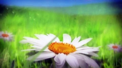 Una Capra su Xbox One