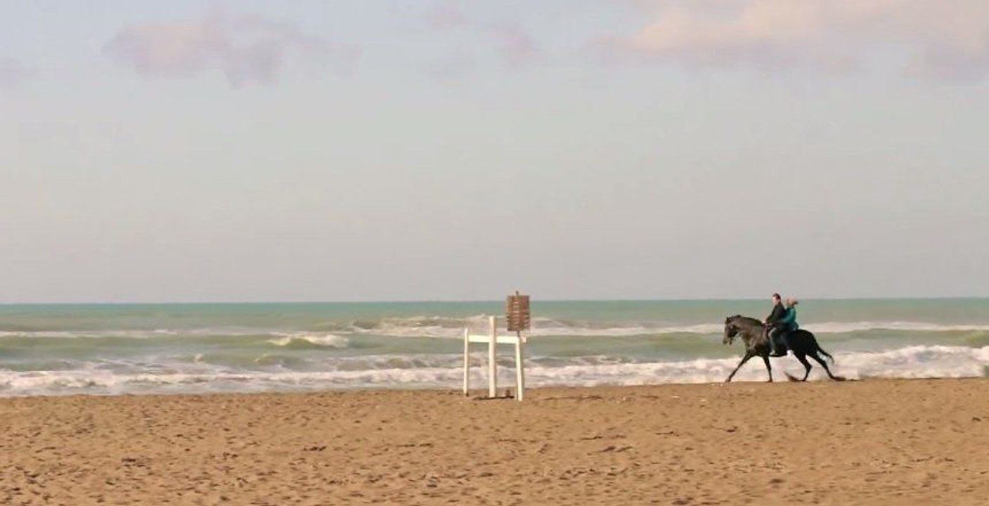 Clip "Io non sono Pazzo"
