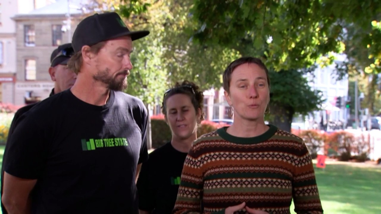 Thousands of Tasmania 'giant' native trees could be spared under policy change