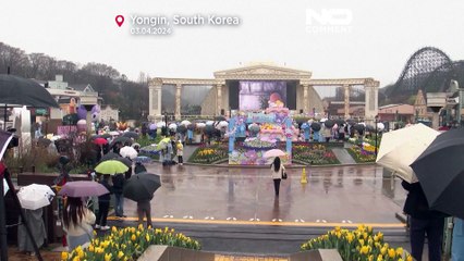 بحزن غامر.. كوريا الجنوبية تودع الباندا المحبوبة "فو باو" قبل عودتها للصين