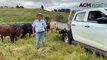 Don Kirchner talks grazing at Templin Hills | April 4, 2024 | Queensland Country Life