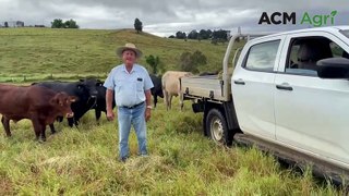Don Kirchner talks grazing at Templin Hills | April 4, 2024 | Queensland Country Life