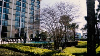 Hotel Tour of The Rosen Inn Closest to Universal (Orlando, Florida) - 4K Hotel Stay VLOG & Review