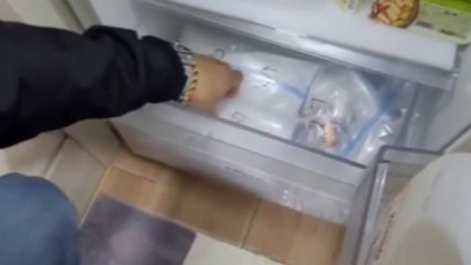 냉장고 서랍 여니 필로폰 줄줄이...일당 무더기 검거 / YTN