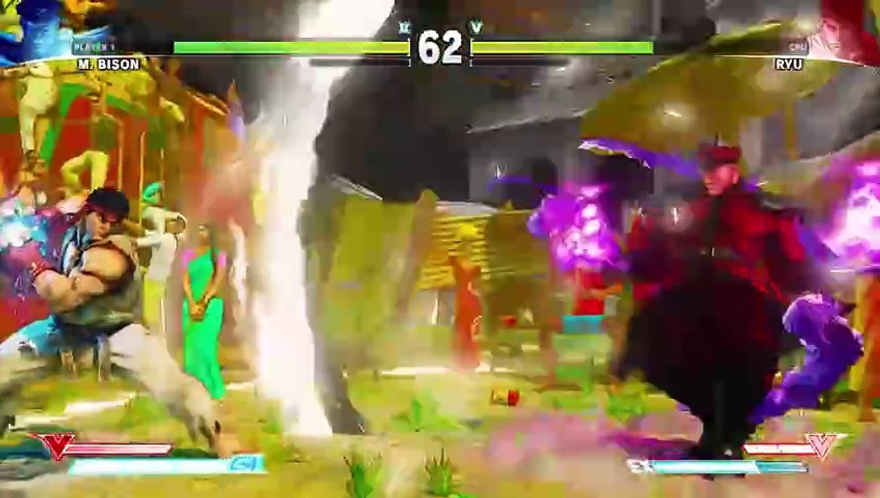Introducing Bison