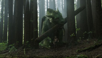 Clip "Che Cosa C'è nel Bosco"