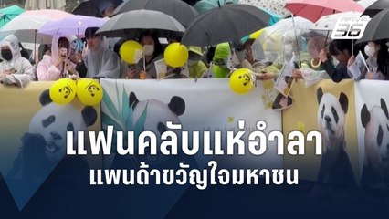 ชาวเกาหลีใต้ร่ำไห้ แห่ส่งแพนด้า “ฝูเป่า” กลับจีน | ข่าวต่างประเทศ | PPTV Online