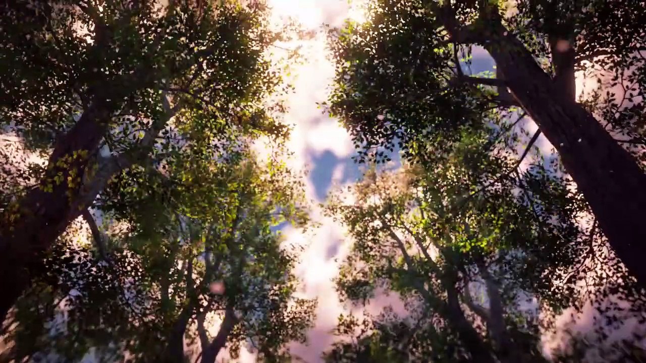 PSX 2016 Trailer