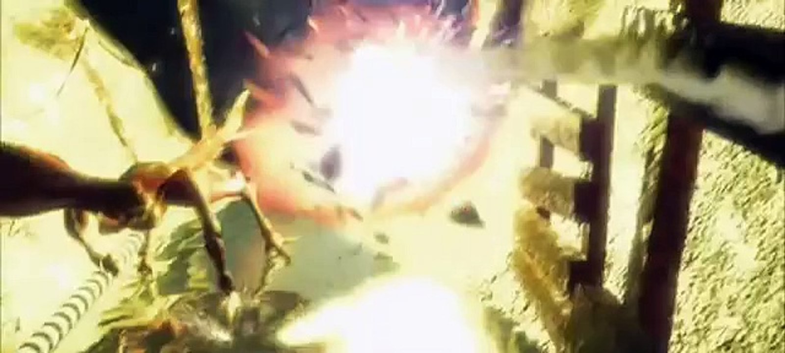 Brood War Intro