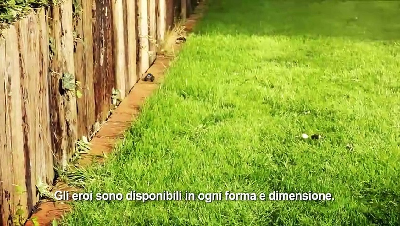 Trailer Ufficiale