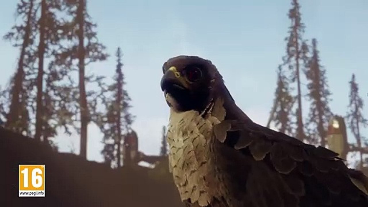 Ecco Hawthorne