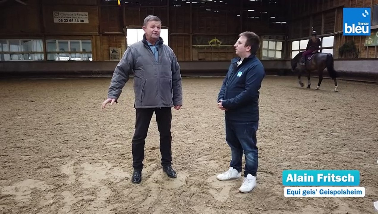 L'Equitation à Geispolsheim 5/6