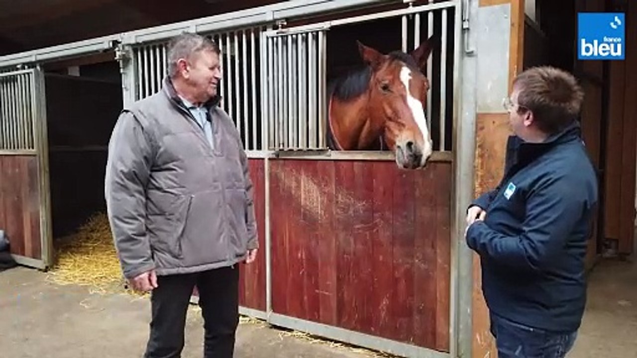 L'Equitation à Geispolsheim 2/6