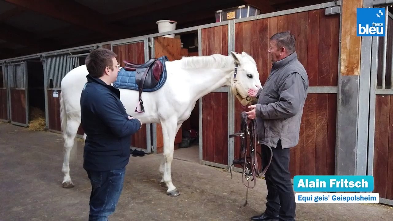 L'Equitation à Geispolsheim 6/6