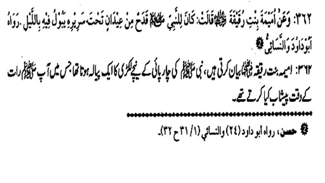 HAZRAT MUHAMMAD (S.A.W) APNI CHARPAI KE NICHE KYA RAKHTE THE ? (362)