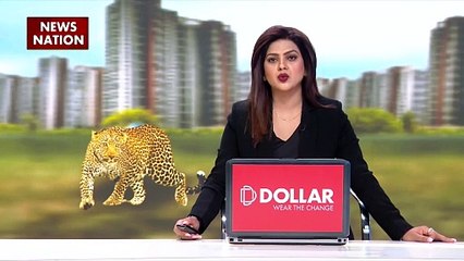 Leopard Cub rescued : MP के बड़वानी में तेंदुए के शावक का रेस्क्यू