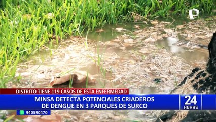 Surco: detectan potenciales criaderos del zancudo transmisor del dengue en 3 parques del distrito