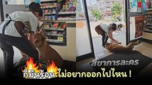 อากาศมันร้อน ขอนอนหน่อยนุดดด !
