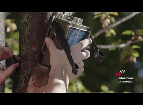 Prospettiva Terra presenta il progetto che studia l’impatto degli alberi sulla qualità dell’aria