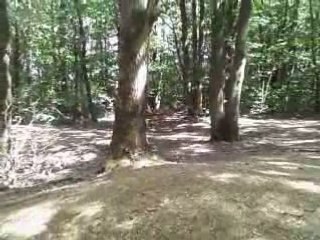 125 dirt dans les bois