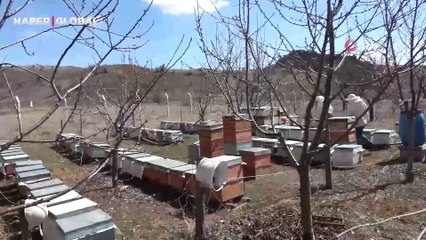 Çocuklarına organik bal yedirmek için girdiği işte, 80 kovan elde etti