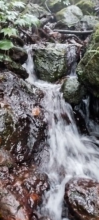 Chikkamagaluru