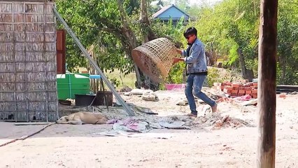 "Try Not to Laugh: Bamboo Basket vs Prank Dog - Epic Battle!"