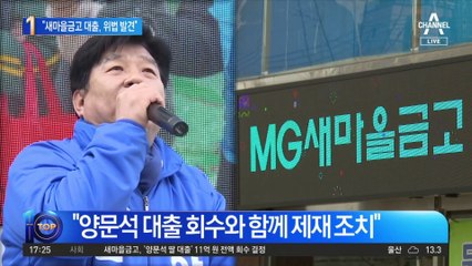 새마을금고·금감원 “양문석 대출 위법 발견”
