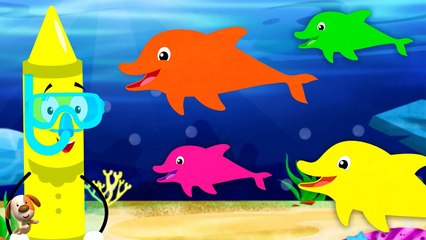 Under the Sea Song - We Are The Dolphins + More Kids Music & Rhymes